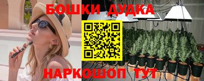 ГАЛЛЮЦИНОГЕННЫЕ ГРИБЫ Ставрополь
