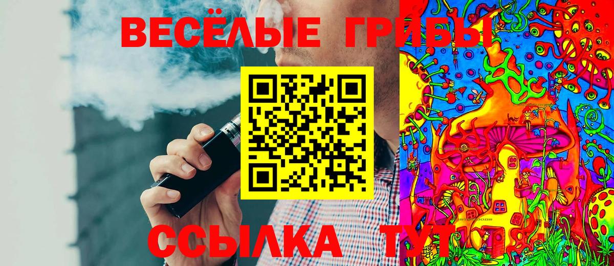 Псилоцибиновые грибы Magic Shrooms  Вход с VPN  Новоалтайск  Псилоцибиновые грибы Psilocybe 
